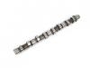 Others CAMSHAFT:8-97077829-0