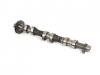 Others CAMSHAFT; EXH:8-97146572-0