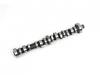 Others CAMSHAFT:8-98030567-1