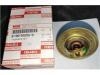 Others THERMOSTAT:8-98190206-0